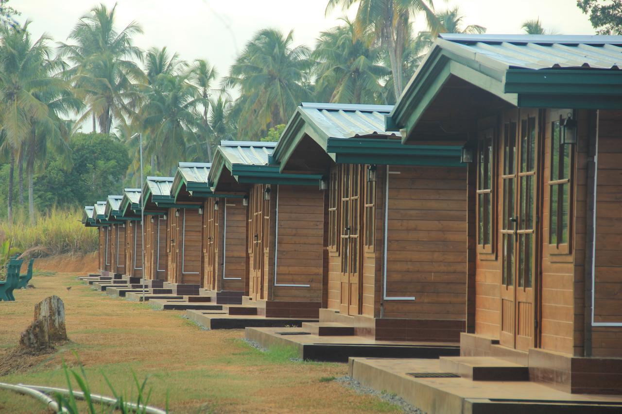 Ma Oya Retreat Pinnawala Pinnawala (Kegalle) Ngoại thất bức ảnh