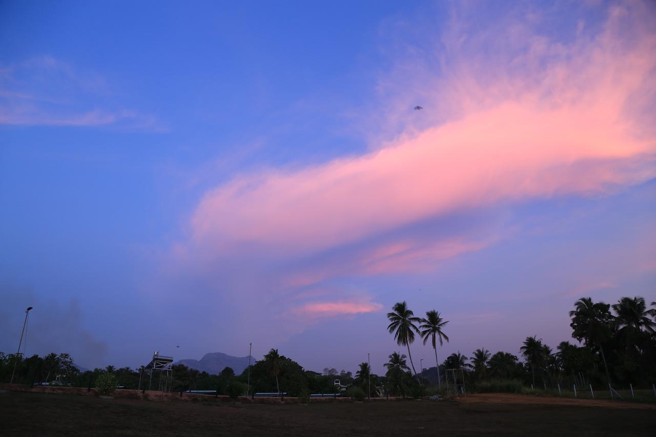 Ma Oya Retreat Pinnawala Pinnawala (Kegalle) Ngoại thất bức ảnh