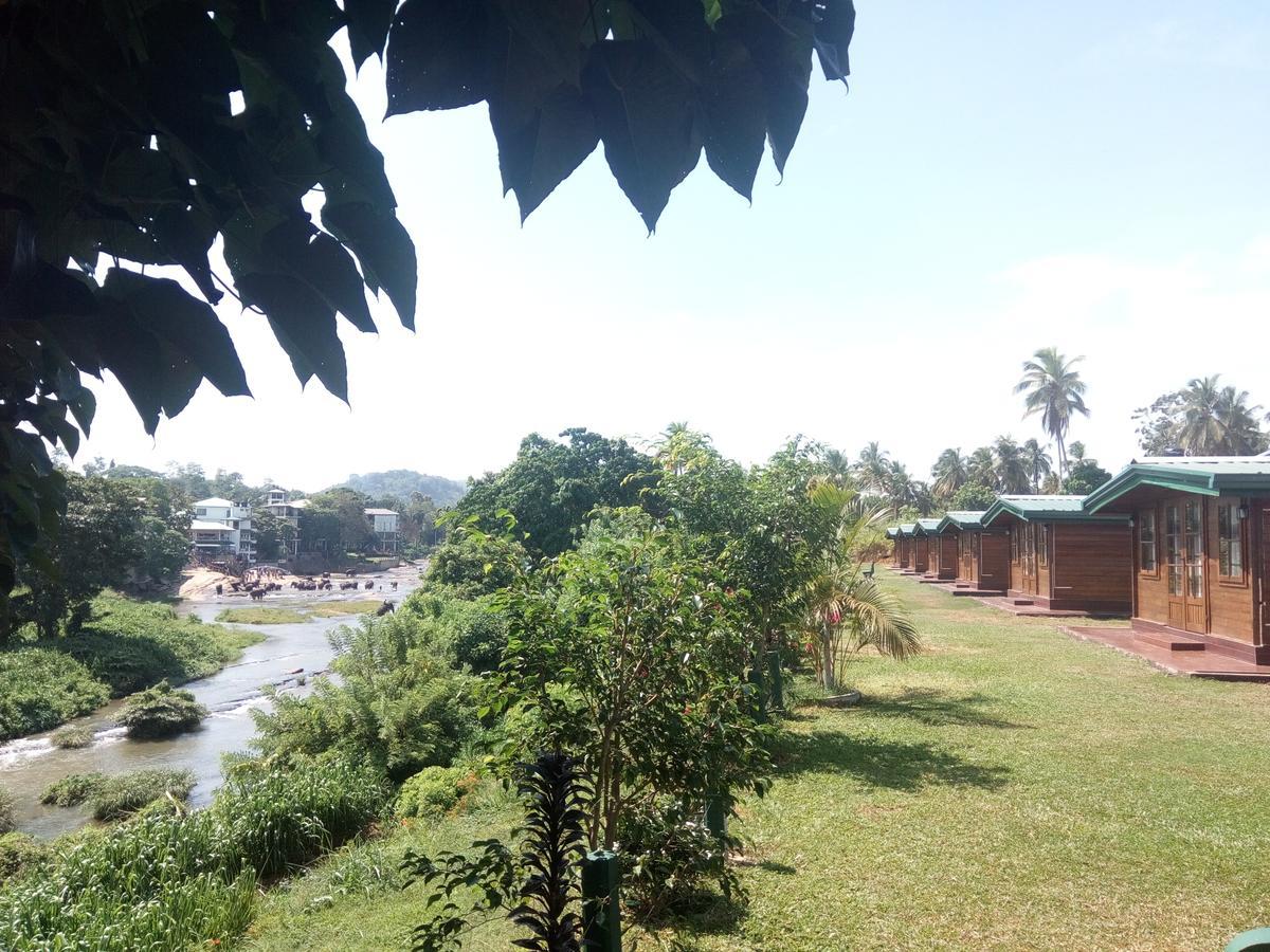 Ma Oya Retreat Pinnawala Pinnawala (Kegalle) Ngoại thất bức ảnh