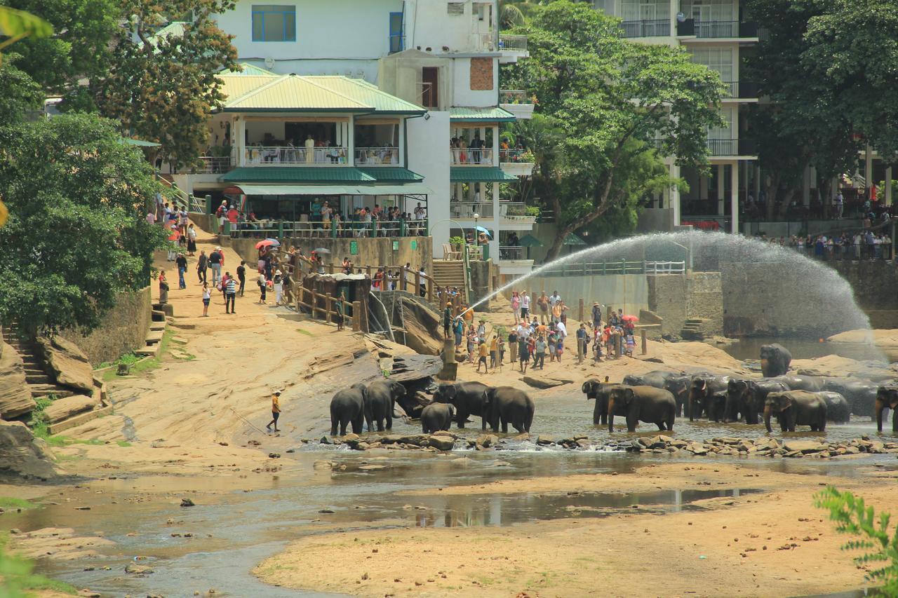 Ma Oya Retreat Pinnawala Pinnawala (Kegalle) Ngoại thất bức ảnh