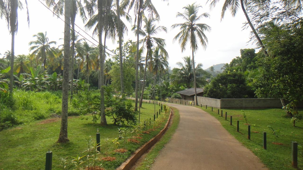Ma Oya Retreat Pinnawala Pinnawala (Kegalle) Ngoại thất bức ảnh