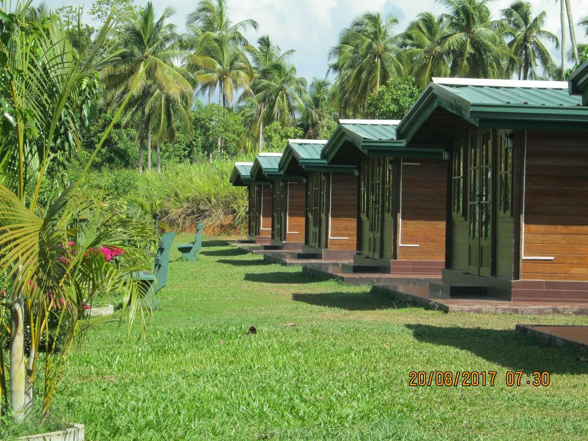 Ma Oya Retreat Pinnawala Pinnawala (Kegalle) Ngoại thất bức ảnh