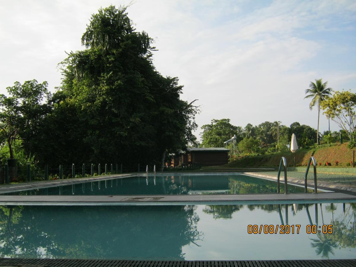 Ma Oya Retreat Pinnawala Pinnawala (Kegalle) Ngoại thất bức ảnh